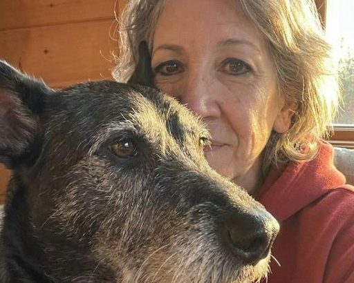 618298806_122219245070108484_5681436960152996424_n