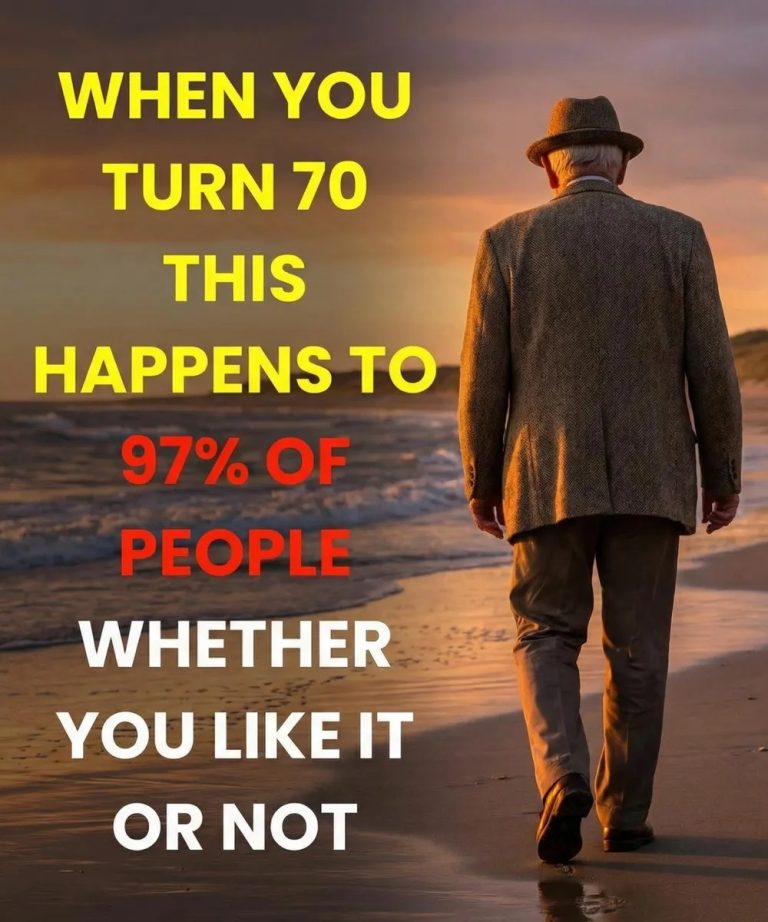 619252663_122219460362108484_3466711418677419039_n