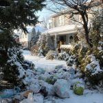 619298293_122219685578108484_6643621865828452682_n