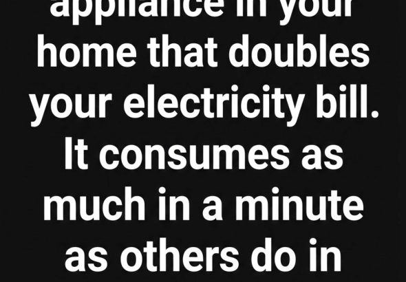 619901764_122219606330108484_6848308326213988545_n
