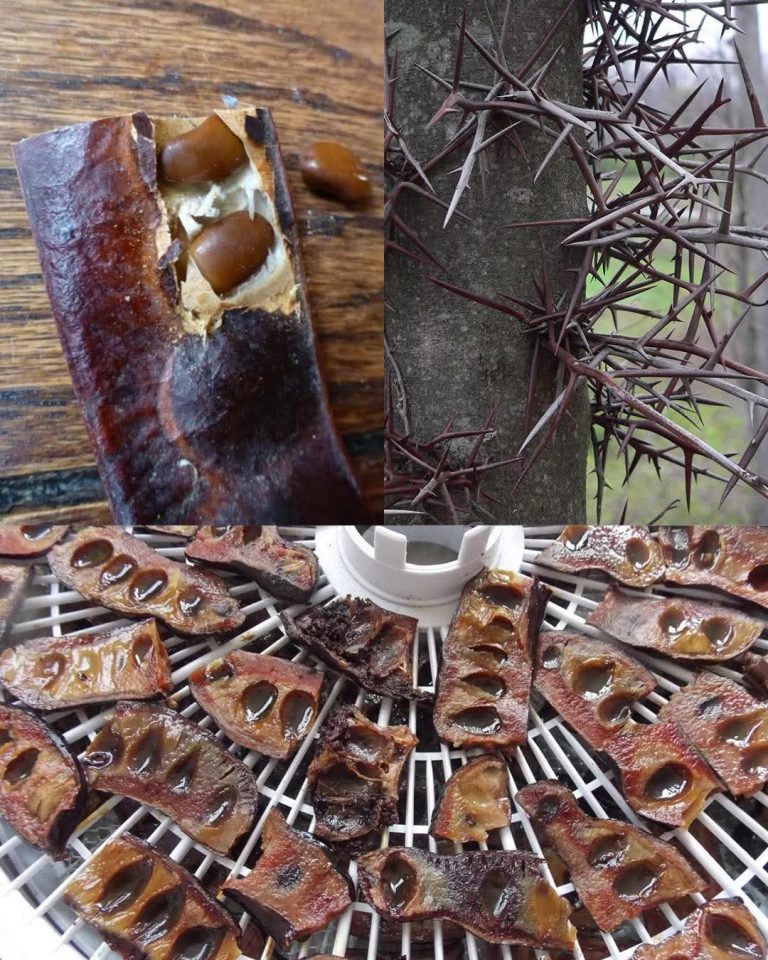 620090447_122173336172762766_645260601604186305_n