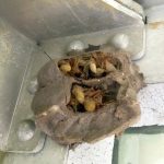 622056072_122220344816108484_2901654554805414435_n