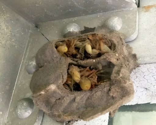 622056072_122220344816108484_2901654554805414435_n