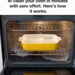 Screenshot 2026-01-17 221846