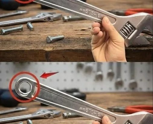 624548745_122220785354108484_6028268856472386519_n