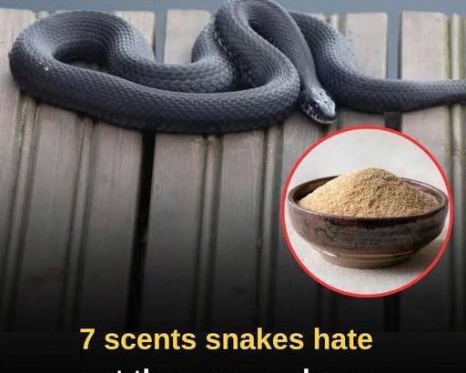 625889402_122201506700345815_4570444024025174553_n