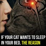 627062084_122201420228345815_7868073753909776394_n