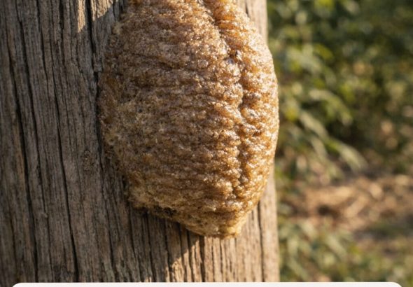 632907027_122179164842798833_2533112452353923772_n