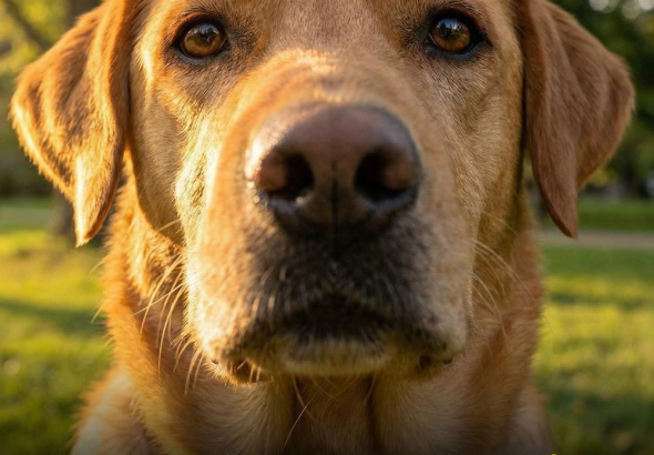 tinywow_631359687_122221309910108484_1249588046032992672_n_87974296